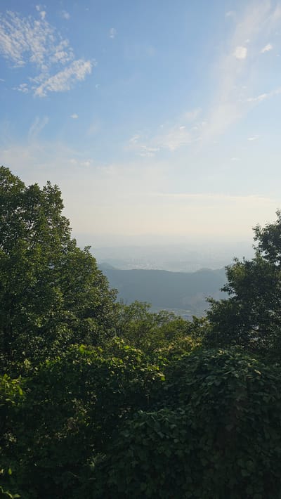 This is a vertical, high-angle photograph taken from a vantage point overlooking a city and its surrounding landscape. The foreground is dominated by lush, green trees and dense foliage, creating a natural framing effect. In the middle ground, rolling hills covered in vegetation recede into the distance, giving way to a hazy, urban sprawl. The city of Cheonan-si, South Korea, is visible in the distance, characterized by numerous buildings and structures that are softened by atmospheric perspective and the morning haze. The sky above is a pale blue, with scattered white clouds, suggesting it is either early morning or late afternoon. The overall impression is one of a peaceful vista, with nature providing a counterpoint to the urban development.