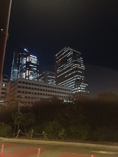 The image displays a nighttime urban environment in 영등포구, South Korea. Three multi-story buildings are illuminated against a dark, cloudless sky. On the left, a tall skyscraper features bright internal lighting, visible construction elements, and a red light accent. To its right, a prominent office building displays a grid of numerous uniformly lit square windows. A lower, wider multi-story building with horizontal rows of dark windows is situated in the mid-ground, between the two taller structures. Below the buildings, a dense strip of dark foliage occupies the mid-ground, demarcated by a rope fence strung between wooden posts. In the immediate foreground, a paved surface leads to a road that features a prominent red-painted section and several red and white cylindrical bollards. No individuals, vehicles, or dynamic actions are present; the scene is static.