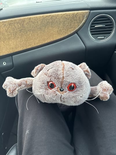 A stuffed cat toy with red eyes is lying on a person's lap in the passenger seat of a car. The car's interior features black leather and a wood-grain trim. The background shows the dashboard of the car, including a circular air vent. The scene is indoors, suggesting the car is parked. The specific location in Гацукоўскі сельскі Савет, Belarus is not discernible from the image.