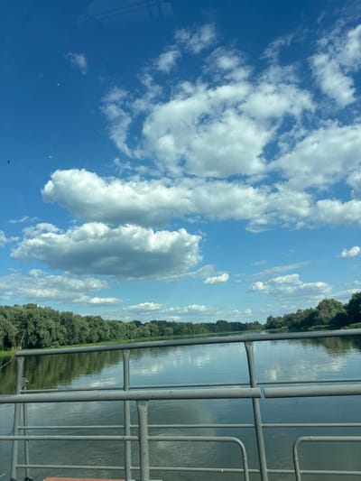 The image depicts a wide, calm river with a dense line of green trees lining the far bank. The water reflects the sky and trees. In the foreground, a metal railing runs horizontally across the frame, suggesting the viewer is on a boat or bridge. The sky is a vibrant blue with scattered, puffy white clouds. The overall scene is serene and natural. The location is identified as the Don River near the village of Podkolodnovka, Russia. There are no people or specific actions visible in the image.