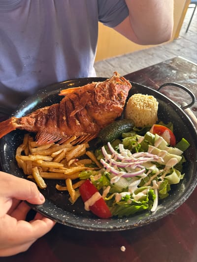 The image presents a close-up, high-angle view of a meal served on a large, round black speckled pan-style plate. The plate is held by the left hand and forearm of an individual, who is wearing a light purple short-sleeved shirt. The scene is set indoors, indicative of a restaurant or eatery environment in Ciudad Victoria, Mexico.

The main subject of the meal is a whole, deep-fried, reddish-orange fish positioned on the left side of the plate. Adjacent to the fish, a portion of golden-brown french fries is arranged. Centrally located near the fish is a single, dark green pickled pepper. To the right of the pepper, a compact mound of light brown rice is visible. The right portion of the plate is occupied by a fresh green salad, composed of lettuce leaves, sliced cucumbers, and red onion rings, with a single red grape tomato half. The salad is uniformly drizzled with a white creamy dressing.

The plate rests on a dark, reflective table surface. The background is blurred, showing indistinct light-colored interior structures.