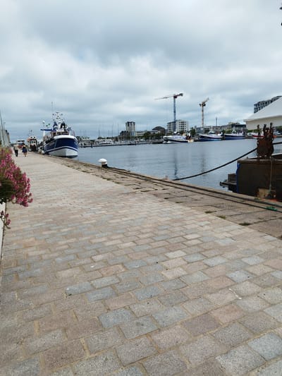 This image depicts a waterfront scene in Cherbourg-en-Cotentin, France, on an overcast day. The foreground is dominated by a paved walkway made of rectangular granite stones, with some patches of grass growing between them. To the left, a cluster of pink flowers adds a touch of color to the scene.
Further into the frame, a harbor is visible with several boats docked. A prominent blue and white fishing boat, named "CHAMADE," is tied to the quay. Behind it, other vessels, including sailboats with their masts, are moored in the water. In the distance, buildings and construction cranes can be seen, suggesting an active port or city area.
Two individuals, a man and a woman, are walking along the paved path, adding a human element to the otherwise still scene. The sky is cloudy, creating a diffused light and a slightly muted color palette. The presence of boats, cranes, and the general harbor setting indicate this is a working port or marina. The overall atmosphere is calm and somewhat subdued due to the weather conditions.
