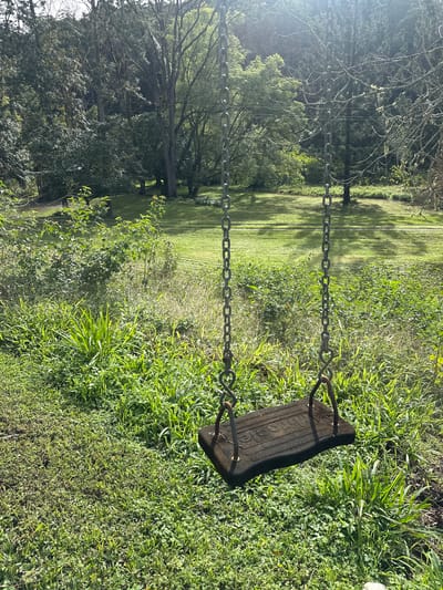 The image depicts a swing set in a grassy, natural outdoor setting. The swing seat, made of dark material, hangs from two metal chains. In the background, a lawn transitions into dense foliage and tall trees, with sunlight filtering through the branches, creating dappled light and shadow patterns. The environment suggests a park, backyard, or a similar recreational area. The location is specified as being in the city of Thora, Australia. There are no people or animals visible in the frame. The overall scene is peaceful and evokes a sense of quiet solitude.