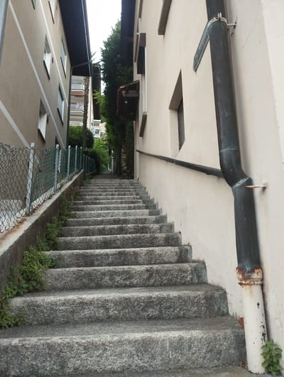 This is a low-angle, eye-level shot of a stone staircase ascending between two buildings. The building on the left is clad in a beige material with diagonal white stripes and features several windows. A green chain-link fence runs along the base of this building, bordering the stairs. The building on the right is a cream-colored stucco structure with a dark downspout running vertically along its facade, attached by a black pipe and bracket. A thin black handrail is also mounted on this wall, following the incline of the stairs.
Small green plants are growing along the sides of the stone steps and at the base of the buildings. The sky is overcast, suggesting a cloudy day. The overall atmosphere is quiet and somewhat weathered, with rust visible on the downspout and some wear on the stone. The scene appears to be a residential or public pathway in a town. There is a partially visible sign attached to the wall near the downspout, but the text is illegible. The location is identified as Orselina, Switzerland.