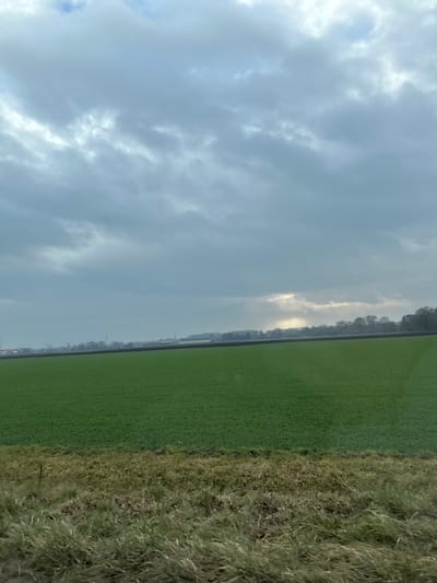 The image captures a broad rural landscape located in La Wantzenau, France, under a predominantly overcast sky. The upper half of the frame is filled with dense, grey stratus clouds, with a localized bright area of sunlight breaking through near the horizon on the right, illuminating a small portion of the sky. The immediate foreground features a horizontal strip of dry, matted grass and vegetation, exhibiting shades of brown and faded green. Directly behind this, a large, flat agricultural field of uniform, vibrant green crops, consistent with young plant growth, extends across the middle ground. Along the distant horizon, a dark, narrow strip, likely plowed soil or a path, separates the green field from a dense line of leafless deciduous trees. To the far left, indistinct industrial or agricultural buildings with light-colored roofs are visible against the skyline. No human figures or specific actions are present in the scene.