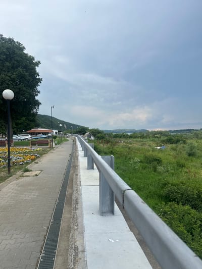 The image presents a detailed view of a pedestrian pathway and surrounding environment in Nikopol, Bulgaria, likely bordering the Danube River. The scene is observed under an overcast sky.
In the left foreground, a paved sidewalk constructed from grey interlocking pavers extends diagonally from the bottom-left towards the mid-distance. A linear metal drainage grate runs parallel to the sidewalk on its right edge. To the left of the sidewalk, multiple flowerbeds display a variety of colorful blooms, predominantly yellow, orange, and purple. A tall street lamp with a spherical white luminaire stands prominently in the left foreground, and another similar lamp is visible further down the path. Benches with wooden slats and metal frames are positioned along the pathway. A large, dark green tree with dense foliage occupies the upper left quadrant.
In the mid-ground on the left, several vehicles, including a silver SUV, are parked. Behind the vehicles, a building with a red-tiled roof and white walls is discernible, possibly a restaurant or cafe, alongside other smaller structures. A light-blue boat, partially covered, is situated near these buildings. Behind these structures and extending into the background, steep, heavily vegetated hills rise.
The right side of the image features a grey metal guardrail, composed of two horizontal bars, extending diagonally from the middle-right. This guardrail is mounted on a concrete barrier or ledge. Beyond this barrier and guardrail, a vast expanse of unmanaged, wild green grass, weeds, and dense shrubs stretches towards the horizon. A section of a blue tarp or plastic sheeting is partially visible amidst the vegetation in the mid-right.
In the distant background on the right, a body of water, consistent with the Danube River, is visible, bordered by a low-lying, vegetated landmass or hills on the far bank. The sky above is largely overcast, displaying various shades of grey clouds with some lighter patches. No people are visible in the scene.