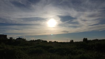 This media file captures an outdoor scene dominated by a bright sun at the center of the frame, surrounded by wispy clouds against a blue sky. The sun appears to be low on the horizon, suggesting either sunrise or sunset. In the foreground, a dense field of green vegetation, including various types of shrubs and grasses, stretches across the lower portion of the image. Several structures, possibly houses or buildings under construction, are visible in the distance, silhouetted against the sky, along with what appears to be a transmission tower on the right side of the frame. The overall impression is one of a rural or semi-rural landscape bathed in the warm light of the sun. There is no visible text in the image. The scene evokes a sense of tranquility and natural beauty.