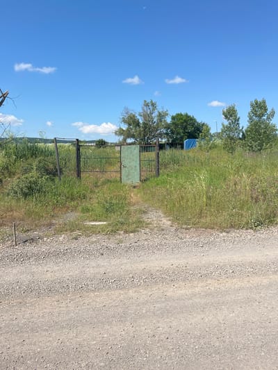 The image shows a rural scene in Medovo, Bulgaria, on a bright, sunny day with a clear blue sky and a crescent moon visible. In the foreground, a gravel path leads towards a weathered, green metal gate, flanked by tall, dry grass and a few scattered weeds. Behind the gate, a metal fence stretches across the landscape, partially obscured by dense green foliage. Beyond the fence, trees and bushes create a natural backdrop, with a blue tarp visible in the distance. The overall impression is one of a quiet, undeveloped area, likely on the outskirts of the village.