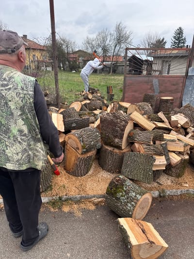 The image depicts an outdoor scene in the city of Ruska Bela, Bulgaria, featuring two individuals engaged in wood splitting. In the foreground, viewed from behind, an adult male wears a grey baseball cap, a camouflage sleeveless vest over a dark long-sleeved shirt, black pants, and dark grey Crocs-style shoes. He holds a small axe with a red handle in his right hand, pointing downwards. He stands on a dark asphalt surface.

In the midground, a substantial pile of chopped and split logs of varying sizes and conditions occupies the space, extending from the asphalt onto a grassy area. The ground around the woodpile is covered with a layer of wood chips and sawdust. Many logs display rough bark, some with visible lichen or moss, and fresh splits reveal light-colored interior wood.

Further in the midground and slightly to the right, a second individual, wearing a white hooded sweatshirt and light grey sweatpants, is actively swinging a larger axe with an orange/red handle to split a log. This person is partially obscured and positioned with their back to the camera. Behind this individual, a rusted, dark brown metal gate with an ornate, fan-like upper section stands in a grassy area.

The background shows a rural or village environment with sparse vegetation, including several bare deciduous trees. Multiple houses with reddish-brown tiled roofs and light-colored walls are visible. A metal post and a wire fence are present on the left side of the frame. The sky is overcast and grey.
