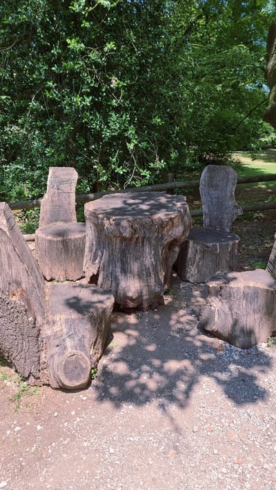 The image displays a rustic outdoor seating arrangement carved from tree stumps and logs. A large, rough-hewn table is at the center, with four chairs made from similarly shaped tree sections surrounding it. The furniture is weathered and shows the natural grain and texture of the wood. The ground is covered with gravel and dirt, and dappled sunlight filters through the leaves of the dense green foliage that forms a backdrop. A wooden fence is visible behind the seating area. The scene appears to be in a natural, possibly park-like setting. The location is identified as Olot, Spain. There are no people or animals visible in the image.
