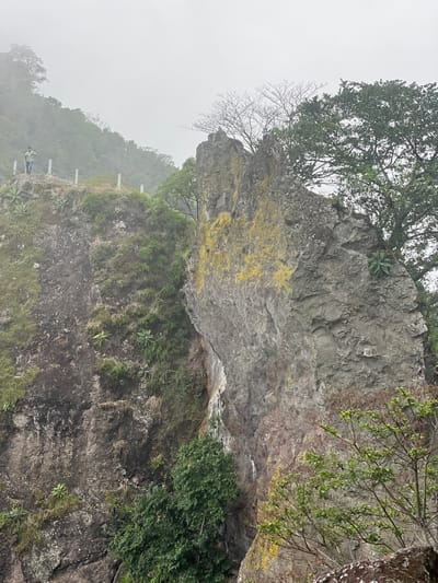 The image depicts a rocky cliff face covered in vegetation in Planes de Renderos, El Salvador. The top of the cliff has a large, gray rock formation with patches of yellow moss and some trees growing on top. Below, the cliff face is darker and covered in green vegetation and smaller plants. In the lower-left corner, there is a person standing on a path along the cliff edge, with a white safety fence visible behind them. The background is obscured by heavy fog.