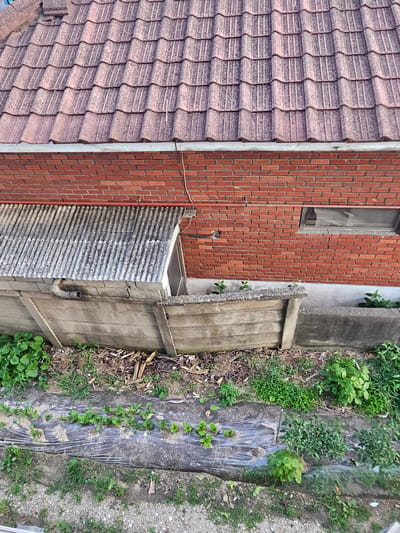 The image shows an exterior view of a residential building's back area in Jincheon-eup, South Korea. The upper portion of the image features a red-tiled roof and a brick wall. Below the wall is a structure with a corrugated metal roof, possibly an extension or storage area, which is situated next to a concrete fence. In front of the fence is a garden with rows of young plants covered by plastic sheeting, and further down, some gravel and sparse vegetation. The scene appears to be in daylight, with natural lighting. No people are visible in the image.