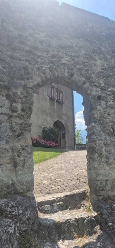 This is a photograph taken outdoors, likely in Sargans, Switzerland, during the day. The perspective is from within a stone ruin, looking through an irregular opening. The opening frames a view of a building with textured walls and several features. On the building, there is a window with red shutters and a round architectural element. In front of the building, there is a patch of vibrant green grass adjacent to a pathway paved with cobblestones. A bush with bright pink flowers is also visible near the building. The sky above is blue with scattered white clouds. The lighting suggests it is a sunny day, with some lens flare visible on the left side of the image. The overall scene conveys a sense of historical architecture and a pleasant outdoor environment.