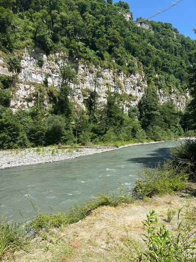 The image depicts a scenic view of a river flowing through a gorge with steep, rocky cliffs covered in lush green vegetation. The river is a prominent feature, with its greenish-blue water appearing to flow with a moderate current. The cliffs rise dramatically on the left side of the image, showing layers of rock and interspersed trees. The top of the cliff is crowned with dense forest. On the right bank of the river, there is a pathway with dry grass and some green bushes. In the upper right corner of the image, a portion of a suspension bridge is visible, stretching across the gorge at a considerable height. The sky is clear and blue. There are no people visible in the image. The location is described as being in the city of Galitsyno, Russia, though the specific context or reason for this location being identified as Galitsyno is not provided within the image itself.