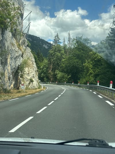The image shows a winding paved road in a mountainous region. On the left side of the road, a steep, rocky cliff face rises sharply. A protective net is installed on the upper part of the cliff. Dense green trees cover the slopes on both sides of the road, with some dead trees visible amongst them. The road is marked with white dashed lines and has a metal guardrail along the right edge, punctuated by red and white bollards. A small sign with the number "106" is visible on the side of the road near the cliff. The sky is partly cloudy with a bright blue sky visible. The image appears to be taken from inside a vehicle, looking forward through the windshield. There are no people or animals visible in the image. The scene is a remote, scenic road through a forested mountain area.