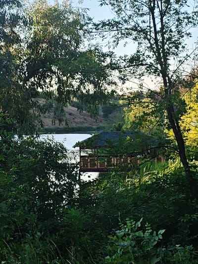 This is an image of a scenic outdoor location, likely a lakeside or riverbank, near Chystiakove, Ukraine. The foreground is dominated by dense green foliage and trees, partially obscuring the view of the water and a wooden structure. A body of calm water is visible in the middle ground, reflecting the sky. On the far side of the water, a sloped, dry, earthen hillside is covered in sparse vegetation.
The most prominent man-made object is a wooden gazebo or shelter situated over the water. It has a dark, sloped roof and visible wooden supports and railings. The structure appears to be built on stilts or a platform extending over the water. Tall grasses and reeds grow along the edge of the water in front of the gazebo.
The scene is bathed in natural light, suggesting it is daytime, likely late afternoon or early evening, given the warm, diffused quality of the light and the dappled shadows cast by the trees. The sky is a pale blue with no visible clouds. The overall mood is peaceful and serene, evoking a sense of natural beauty and tranquility. The dense greenery and the water suggest a temperate climate. There is no visible text in the image.