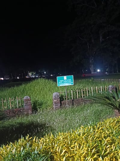 The image depicts an outdoor scene at night, illuminated by artificial lighting. In the foreground, a patch of yellow and green foliage is visible, with out-of-focus green grass and a low brick wall with a metal fence running horizontally across the mid-ground. A green rectangular sign with white text and a symbol is prominently displayed on a metal pole in the center-left of the frame. The sign appears to be a historical marker, as indicated by the text "Ancient Grave Yard of Unknown Disciple" and symbols that suggest historical significance. In the background, tall trees are silhouetted against the dark night sky, with scattered artificial lights visible in the distance, suggesting a park or public space. This scene is located at the Khan Jahan Ali Dargah complex in Bagerhat, Bangladesh, a UNESCO World Heritage Site known for its historical and architectural significance.