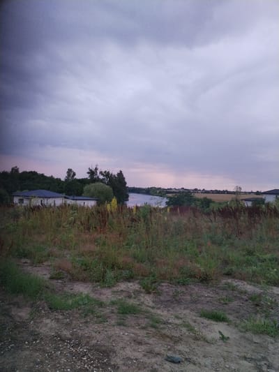 The image depicts an outdoor scene likely taken in the vicinity of Moara Domnească, Romania. In the foreground, a patch of dry, sandy soil is visible, interspersed with sparse green grass and some small stones. Beyond this, a dense area of wild grasses and vegetation, characterized by various shades of green and brown with hints of red, stretches across the middle ground. Among the vegetation, yellow flowers are noticeable. To the left and slightly behind the foreground vegetation, a two-story building with a dark roof is situated. Further back, a body of water, possibly a lake or a wide river, is visible. The background is dominated by a dense line of trees and a light-colored field. The sky above is overcast with heavy, purplish-grey clouds, suggesting approaching rain or the end of the day. The overall lighting is dim and diffused. No people or animals are present in the image.