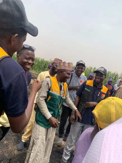 The image shows a group of seven men standing in a field. The men are wearing traditional clothing and some are wearing vests. They are all smiling and appear to be engaged in conversation. One man is wearing a yellow hat. The men are standing on a path that is bordered by tall grasses. The men are standing in a field of corn stalks in Ringimawa, Nigeria. The exact location is a field near the coordinates Latitude 11.666, Longitude 8.416.