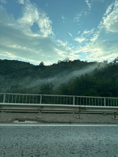The image depicts a view from a roadside, looking out over a misty, forested hillside. A metal guardrail runs along the right side of the frame, separating the road from the slope. The road surface, visible on the far right, appears damp and textured, possibly from recent rain or dew. The hillside is densely covered in green trees, with a visible band of mist or fog weaving its way through the vegetation. The sky above is a pale blue, with scattered white clouds. The lighting suggests it is daytime, possibly early morning or late afternoon, given the soft illumination and the presence of mist. There are no people or animals visible in the image. The scene is one of natural beauty and perhaps a touch of mystery due to the fog. The orientation of the image is rotated 90 degrees clockwise.