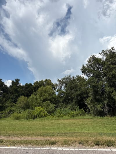 This image depicts a roadside scene in Parrish, Florida, United States. The foreground features an asphalt road with a white painted line along its edge, bordered by a strip of dry grass and then a lush green grassy field. Beyond the field, a dense line of trees forms the mid-ground, with varying shades of green foliage. The background is dominated by a dynamic sky filled with large, fluffy white clouds interspersed with patches of blue sky, suggesting fair weather with potential for rain. No people or specific structures are visible.
