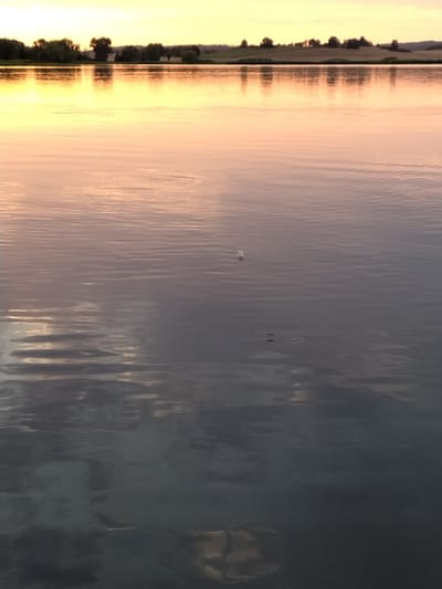 The image is a photograph of a body of water, likely a lake or river, at sunset. The sky is a soft yellow and orange, reflecting on the surface of the water. The horizon is lined with trees and rolling hills. In the middle ground of the image, a single white feather is floating on the water. There are also small ripples on the water's surface, possibly caused by wind or a recent disturbance. The lower portion of the image shows darker reflections of clouds or the landscape. The scene appears to be a natural outdoor environment. There is no indication of the city of Kestřany, Czechia within the image itself.