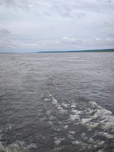 The image shows a wide, murky river with a turbulent wake in the foreground, suggesting movement through the water. The sky is overcast with grey clouds, and in the distance, a thin line of green trees marks the horizon of the riverbank. The scene depicts a natural landscape, likely in the Siberian region of Russia given the context of Zotino. There are no people or structures visible. The overall impression is one of a vast, somewhat somber, and natural waterway under a cloudy sky.