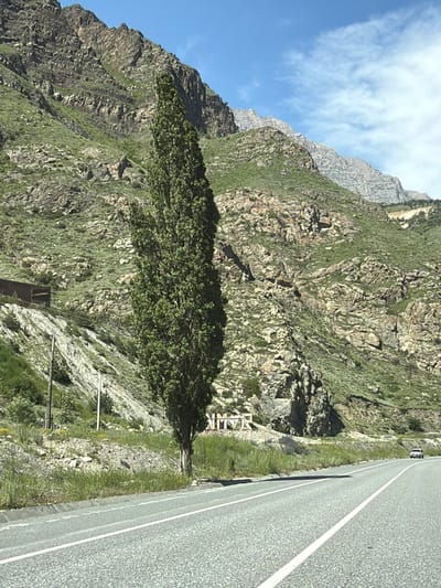 The image shows a view of a road in Mizur, Russia, with a steep, rocky mountain range in the background. The mountain slopes are covered with sparse green vegetation. A tall, slender tree stands prominently in the middle ground, to the left of the road. In the distance, a white car is visible driving on the road. A white sign with dark lettering is partially visible on the left side of the road. The sky is blue with scattered clouds. The road is asphalt and appears to be a two-lane highway with white lane markings. The overall scene depicts a rural, mountainous landscape.