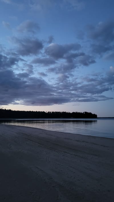 The image depicts a tranquil twilight scene at a beach in Zaostrov'e, Russia. A sandy shoreline occupies the foreground, with subtle tire tracks visible on the damp sand. The water's edge gently meets the beach, reflecting the soft, diffused light. Beyond the water, a dense, dark line of evergreen trees forms the horizon, silhouetted against the fading sky. The sky is a gradient of deep blues, transitioning from a lighter hue near the horizon to a darker shade overhead. Scattered clouds, tinged with grey and hints of purple, drift across the expanse, adding texture and depth to the atmospheric composition. There are no people or discernible human activity in the frame. The overall impression is one of serene natural beauty at the end of the day.
