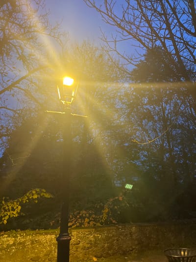 The image presents an outdoor scene at dusk or early night in Obernai, France. A black, ornate street lamp with a bright yellow lantern-style light fixture stands centrally, emitting strong radial lens flares that illuminate the immediate foreground and midground. Above the lamp, a deep blue sky is visible through the silhouetted, bare branches of numerous deciduous trees. Below the dense tree canopy, a layer of dark green bushes and trees with sparse, yellow-green foliage occupies the background. A low, textured stone or concrete wall extends across the midground, covered with scattered yellow-orange leaves, indicative of autumn. To the right, partially obscured by foliage and lens flare, a rectangular grid of small green lights is visible. A dark, perforated metal trash receptacle is positioned in the lower right corner of the frame. No individuals are present.