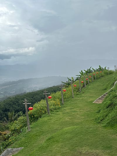 The image displays a green, cultivated hillside in Ban Mai Saha Sampan, Thailand, under an overcast sky. A prominent grassy path, devoid of individuals, extends diagonally upwards from the lower left towards the upper right. Parallel to this path, a line of at least eight wooden posts, each featuring a horizontal crossbar, is spaced along the slope. From each crossbar, a single red, spherical Chinese-style lantern is suspended. To the immediate left of these posts, patches of yellow flowers and green foliage are visible, alongside larger banana plants higher on the slope. Beyond this line of posts and plants, the terrain drops steeply into a dense forest of dark green trees, with layers of distant mountains appearing muted and partially obscured by haze in the background. To the right of the grassy path, a series of unpaved, earthen steps ascends the steeper portion of the hillside. No people or animals are present.