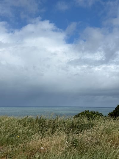 The image presents a coastal landscape scene located in Octeville-sur-Mer, France, under a partially overcast sky. The upper portion of the frame features patches of clear blue sky interspersed with scattered white cumulus clouds. Below this, a significant band of dense, dark gray stratocumulus clouds extends horizontally, obscuring much of the upper mid-ground and contributing to a subdued lighting condition. The horizon line, visible across the middle of the image, separates the sea from the cloudy sky. The ocean's surface appears choppy, with visible wave activity and a greenish-blue coloration that darkens towards the horizon. The foreground is occupied by a dense field of tall, wild grasses, predominantly light brown and dry, with interspersed sections of greener vegetation. A single yellow flower is discernible in the lower-left quadrant amidst the grass. Towards the mid-right, a cluster of dark green, dense bushes partially obstructs the view of the sea. Further right, a mass of darker, larger trees or dense foliage marks the edge of the visible vegetation. A small, light-colored object is partially visible within the dry grass in the lower-right quadrant. No individuals, animals, or prominent man-made structures are present within the frame.