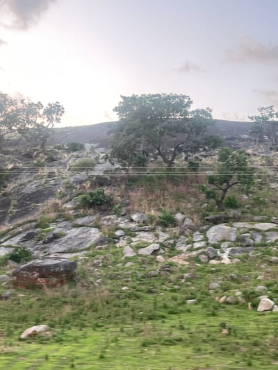 This image depicts a rocky, vegetated hillside located in Ribina East, Nigeria, viewed likely from a moving vehicle as indicated by the motion blur in the foreground. The sky occupies the upper quarter of the frame, appearing pale grey and white with diffuse, light-colored clouds, suggesting either an overcast condition or a soft light period such as dawn or dusk.

The central and largest feature is a steep hillside, dominated by numerous grey and dark grey boulders and exposed rock faces of varying sizes. Patches of green grass and dry, light brown straw-like vegetation are interspersed among the rocks. Numerous broadleaf trees with green canopies are scattered across the hillside, particularly denser in the middle-left and middle-right, and extending towards the top of the hill. The summit of the hill appears as a rounded, relatively smooth, dark grey expanse.

Two horizontal white utility lines, presumed to be power lines, traverse the image roughly horizontally across the middle ground, positioned against the rocky slope.

The immediate foreground is covered in green grass with noticeable motion blur. A large, dark, reddish-brown boulder is prominent in the lower-left, showing some lighter markings on its surface, including faintly visible red numerals that appear to read "2023." No people, animals, or specific structures other than the utility lines are visible in the scene.