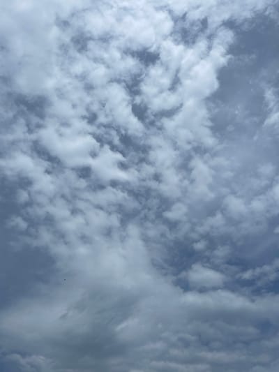 The image shows a cloudy sky over Verkh-Katunskoye, Russia. The sky is predominantly blue, with numerous white and gray clouds scattered throughout. The clouds vary in size and shape, ranging from small, puffy formations to larger, more elongated ones. The lighting suggests it is daytime, but the clouds partially obscure the sun. No people, subjects, objects, actions, or interactions are visible in the frame.