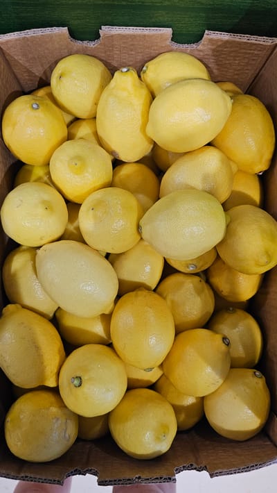 A high-angle, medium shot captures a cardboard box filled with numerous lemons. The lemons are yellow, varying slightly in size and shape, and appear to be fresh. Some lemons show the typical dimpled texture of their rind, while others have a smoother appearance. A few lemons exhibit a small, green stem or remnant of a stem. The cardboard box is brown and shows the corrugated texture of its material, with some of its edges visible in the foreground. The background is a blurred green, suggesting it might be a surface or fabric behind the box. The lighting is natural and even, highlighting the vibrant yellow of the fruit. The scene is devoid of any people or discernible activity. The image does not contain any specific landmarks or elements that would identify its location within Cuarte de Huerva, Spain.