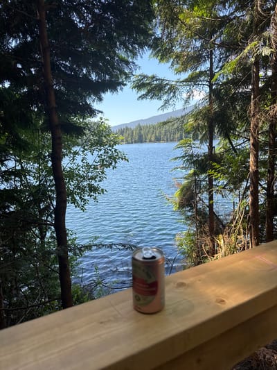 A pink aluminum can sits on a wooden railing in the foreground, with a body of water and a forested mountainside in the background. The can is light pink with a red and white label, and it appears to be open. The railing is made of light-colored wood and has a natural grain. The water is blue and calm, with small ripples on the surface. The mountainside is covered in lush green trees, and the sky is a clear blue. The scene is likely located in or near Belcarra, Canada, given the presence of a lake and dense forest.