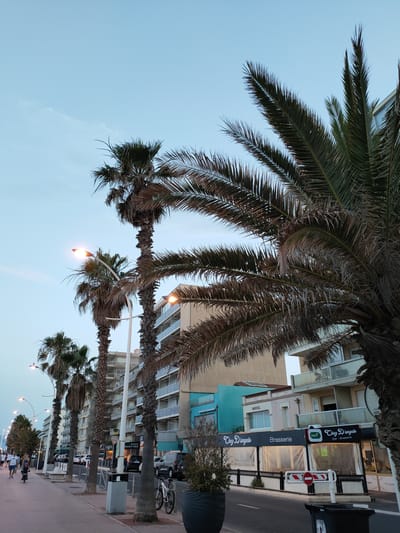 The image captures a scene on the promenade of Canet-en-Roussillon, France, likely near the beach. Towering palm trees line the pedestrian walkway, their fronds casting shadows. Several buildings, including apartments and businesses, stand behind the palm trees. One visible establishment is "Chez D'angelo Brasserie," with its name prominently displayed. The street adjacent to the promenade features parked cars and a bicycle. A few people are visible walking and cycling on the promenade. The sky is a pale blue with a hint of clouds, suggesting either early morning or late evening light. Streetlights are illuminated, casting a warm glow. The overall atmosphere appears relaxed and coastal.