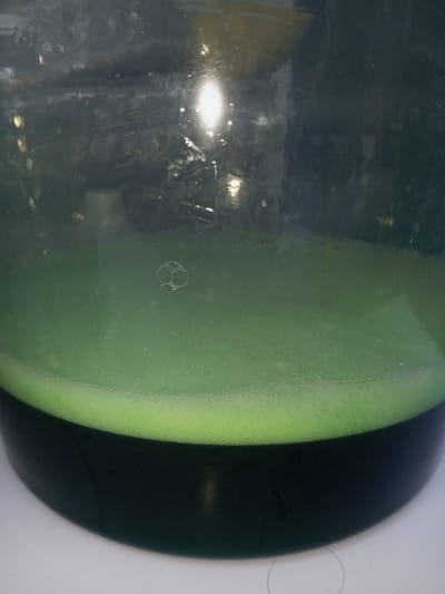 A close-up shot reveals a glass container filled with a vibrant green liquid, possibly a smoothie or juice. The liquid's surface is foamy, creating a distinct boundary. Below, the liquid transitions into a darker, almost black color, suggesting a denser layer or ingredient. The glass is somewhat opaque, with water droplets clinging to its interior. A reflection of light can be seen as well, adding some brightness. The overall image creates a sense of texture and color contrast.