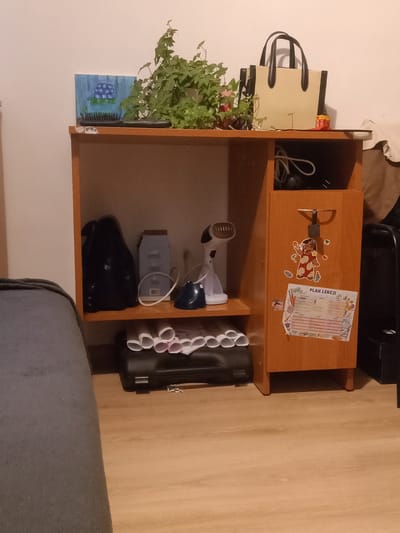 The image shows a wooden shelving unit against a white wall. On the top shelf, to the left, is a small blue painting with a depiction of blueberries and a green paintbrush. Next to the painting is a potted plant with green leaves. To the right of the plant is a light-colored tote bag with dark handles. A small yellow and red item, possibly a snack wrapper, is next to the tote bag.
The middle shelf contains a black backpack on the left, a light blue box, and a white handheld steamer on the right. Below this shelf, on the bottom, are rolled-up white and pink papers on top of a black case.
The right side of the shelving unit has a wooden door decorated with stickers. One sticker is of a cartoon character in a red and white outfit. Below this character is a document titled "PLAN LEKCJI," which translates to "Lesson Plan" in Polish.
The environment appears to be an indoor space, possibly a room in an apartment. There is no indication of the city of Kielce, Poland, in the image.