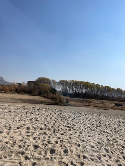 The image depicts an outdoor, arid landscape in Shuyene Vosta, Afghanistan, under clear blue skies. The foreground is dominated by a wide expanse of light-colored sand, marked with numerous irregular depressions and mounds consistent with disturbed ground. No individuals, objects, or active subjects are present in this sandy area. In the midground, a strip of dry, reddish-brown earth separates the sand from a dense line of tall, slender trees, some exhibiting early green foliage among predominantly bare branches. To the far left midground, a partially ruined stone or mud-brick structure with visible walls and an incomplete roof stands partially obscured by dry reeds and trees. A smaller, less defined structure is visible further left. The background consists of a clear, bright blue sky that occupies the upper two-thirds of the frame, with a distant, rugged mountain peak visible on the far left horizon. The scene is brightly illuminated by natural daylight.