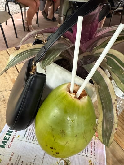 The image shows a green coconut with two white straws stuck into it, placed on a wooden table with a black purse next to it. Some green and purple plants surround the coconut. The table also holds a menu displaying prices and options such as "Coconut - $". A person's legs and feet are visible in the background. The location appears to be Davie, United States of America, based on the "ISLAND VIBE" reference.