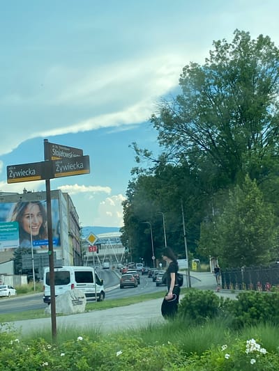 The image depicts a street scene in the city of Bielsko-Biała, Poland, specifically at the intersection of ulica Stanisława Stojalowskiego and ulica Żywiecka. A street signpost indicates these street names. In the foreground, lush green grass with white flowers grows. A dark-haired woman, wearing a black dress and carrying a black bag, walks on a sidewalk. Behind her, a white van is parked. The background shows a street with traffic, including cars and a bus, and buildings on the left. A large billboard featuring a smiling woman is also visible on the left side of the street. Trees and a cloudy sky complete the scene.