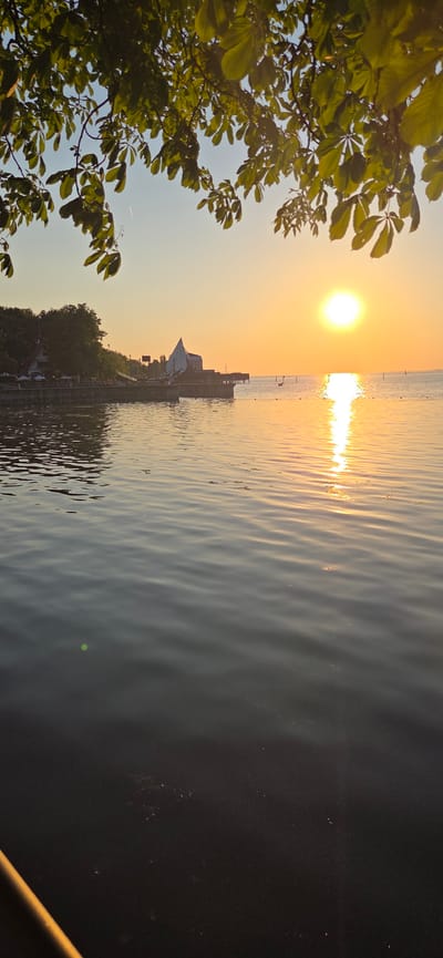 This is a vertical, eye-level, outdoor photograph taken during sunset at the Bregenz Lake Stage (Seebühne) in Bregenz, Austria. The sun, a bright orb, is setting over a large body of water, casting a golden reflection across its surface. In the mid-ground, the distinctive white, wave-like structure of the Bregenz Lake Stage is visible, along with adjacent buildings and trees that form the shoreline. The water is rippled, creating a textured foreground. Branches with green leaves hang from the top of the frame, obscuring a portion of the sky. The sky is clear and transitions from a pale blue at the top to a warm orange near the horizon, indicating the late hour of the day. There are no discernible people or active interactions in the visible portions of the scene.