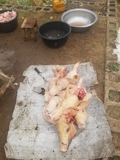 The image shows a pile of pig heads on a white sheet of plastic on the ground. There are six pig heads in total. The pig heads are skinned and some have blood on them. There is a knife on the sheet of plastic.  There are two buckets and a stool in the background. One bucket is black and has a dark liquid inside. The other bucket is metal and is sitting on the ground. The stool is wooden and is placed on top of the ground. The environment is an outdoor dirt area. The location is Pati Ridge, Nigeria, based on coordinates (latitude: 7.81, longitude: 6.704).