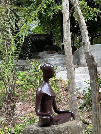 This is a medium shot, taken from a slightly low angle, of a dark brown, stylized human sculpture in a meditative pose. The sculpture is positioned on a large, rough-hewn stone in the foreground. The sculpture depicts a person with a smooth, rounded head, a defined neck, and a torso with a subtle angularity. The arms are bent and resting on the thighs, with the hands tucked in. The legs are crossed in a seated position. The sculpture is glossy and appears to be made of metal or polished wood.
Behind the sculpture, the environment is lush and green, suggesting a tropical setting. Tall, leafy plants and ferns frame the left side of the image. In the mid-ground, a series of concrete steps ascend a slope, some of which appear to be integrated into a rocky, natural landscape. A dark, cave-like opening is visible at the top of the steps, with a sign above it reading "Herbal & Beauty" accompanied by a stylized logo. The background is filled with dense foliage and trees, with dappled sunlight filtering through.
Two tree trunks with textured, light-colored bark stand vertically in the mid-ground, partially obscuring the steps and the herbal beauty sign. The ground is covered in soil, fallen leaves, and various green plants. The overall impression is one of a tranquil, natural setting, possibly a garden or a spa area, located in Khlong Thom Nuea, Thailand, known for its natural attractions. The scene is static and does not depict any action or interaction.