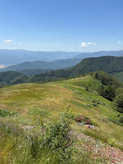The image shows a vast mountainous landscape under a clear blue sky with scattered white clouds. The foreground features a sloping grassy meadow with patches of dry grass and wildflowers. A cluster of bushes and tall grass is in the immediate foreground. In the middle ground, a green ridge covered with trees extends towards the right. Beyond this ridge, several layers of undulating, tree-covered mountains stretch into the distance, fading into a hazy blue. In the far distance, a valley with some structures is visible. On the grassy slope in the middle ground, near a cluster of reddish-brown vegetation, there appears to be a pile of discarded items, including what looks like colorful fabric, possibly clothing, and plastic bags. These items are located on the right side of the image, slightly above the middle.