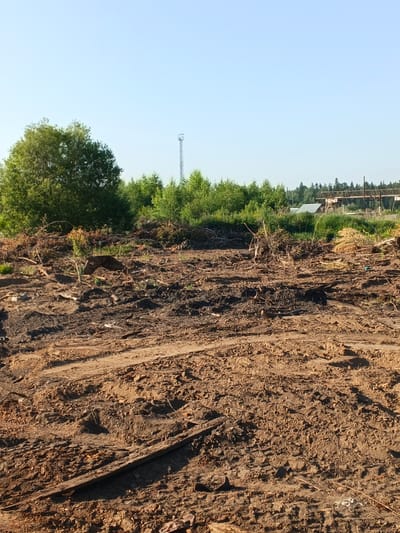 The image depicts a scene of deforestation in Strelka, Russia, characterized by a barren, muddy foreground with debris from felled trees. In the background, a dense line of green trees forms a natural barrier, beyond which a clear blue sky dominates. A tall, slender telecommunications tower stands prominently against the sky, while to the right, industrial structures and what appear to be wooden scaffolding suggest ongoing construction or a cleared industrial zone. The overall impression is one of environmental disruption and change within a rural or semi-industrial setting.