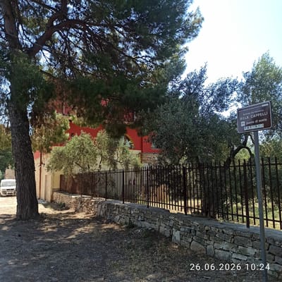 The image shows a sign for "VILLA CAPPELLI azienda agrituristica" which translates to "Villa Cappelli tourist farm". The sign also indicates "punto di sosta," meaning "rest stop." The scene is outdoors, with a focus on a signpost, a metal fence, and lush greenery. Two trees, one with a thick trunk and dark green needles and another with lighter green foliage, are prominent. Behind the fence, a red building with an arched window is partially visible, suggesting it's part of the farm. The ground is covered with dry grass and dirt, with dappled sunlight suggesting it is daytime. A stone wall runs alongside the fence. The overall impression is a tranquil, rural setting. A timestamp "26.06.2026 10:24" is visible on the right side of the image.