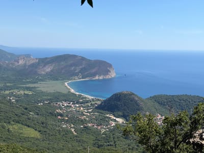 The image is an aerial view of the city of Novoselje, Montenegro, showcasing its coastal location. The scene is dominated by the vibrant blue Adriatic Sea meeting a curved coastline with a sandy beach dotted with umbrellas. Steep, verdant hills covered in dense, dark green trees rise from the coastal plain, interspersed with clusters of red-roofed buildings that form the town. A prominent, rounded, green hill is situated in the foreground, partially obscuring a view of a small town with red-tiled roofs nestled within the dense foliage. In the distance, a larger, rocky, mountainous terrain is visible, also covered in greenery, with a rugged, steep incline plunging towards the sea. The sky is a clear, bright blue, with the horizon line where the sea and sky meet being crisp and distinct. A single dark leaf is visible in the upper left corner of the frame, intruding slightly into the sky. The overall impression is one of a serene, sun-drenched Mediterranean landscape.