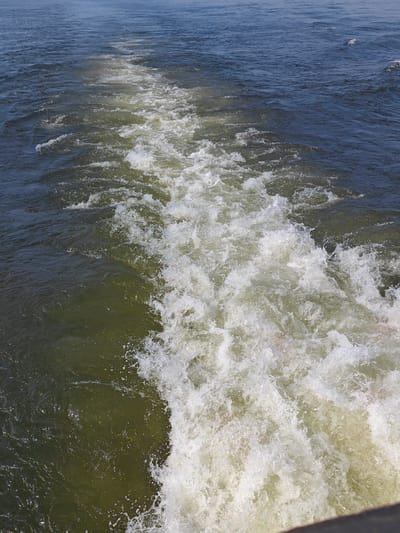 The image depicts a wake left by a moving boat on a body of water, likely a river or lake. The water is a mixture of murky green and deep blue, with a clear contrast between the undisturbed water and the churning, white foam of the wake. The wake extends into the distance, gradually dissipating. The scene suggests movement and forward momentum. There are no people, buildings, or specific landmarks visible that would indicate the location within the city of Potapovo, Russia. The focus is entirely on the dynamic nature of the water.
